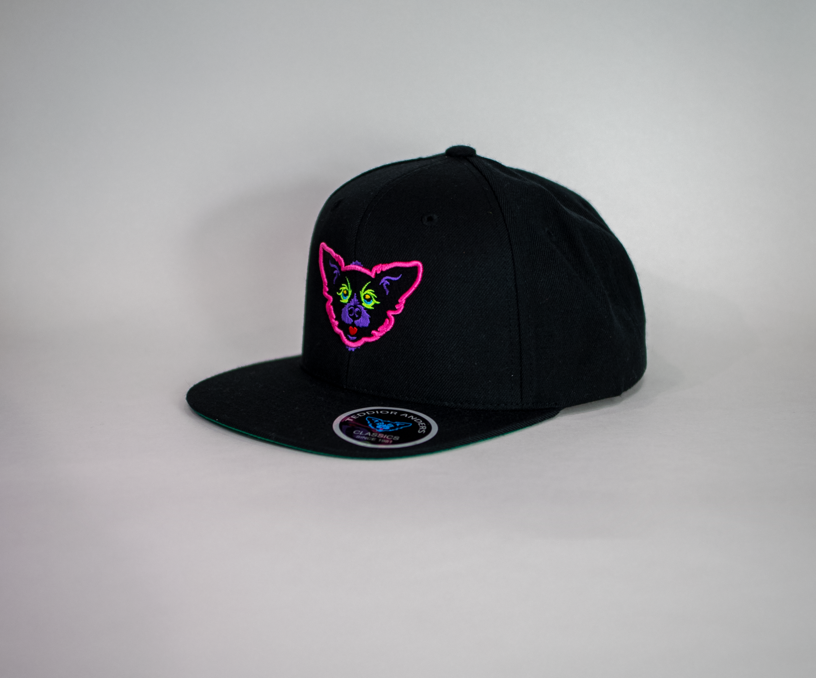 Snapback Cap Model #5